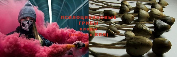 прущие грибы Балахна