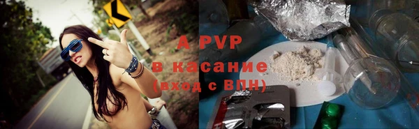 прущие грибы Балахна