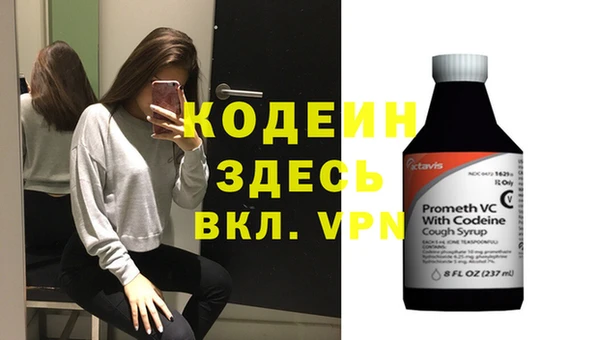 прущие грибы Балахна