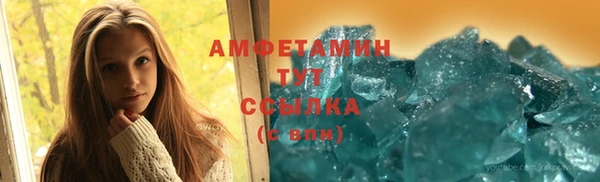 прущие грибы Балахна