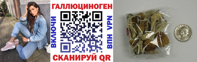 Псилоцибиновые грибы ЛСД  Певек 
